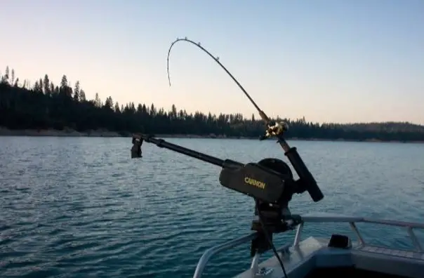 Ten Common Mistakes When Pursuing Kokanee - NWFR