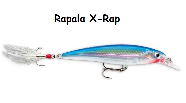 Rapala Jerkbait - Fishing Tackle - Bass Fishing Forums