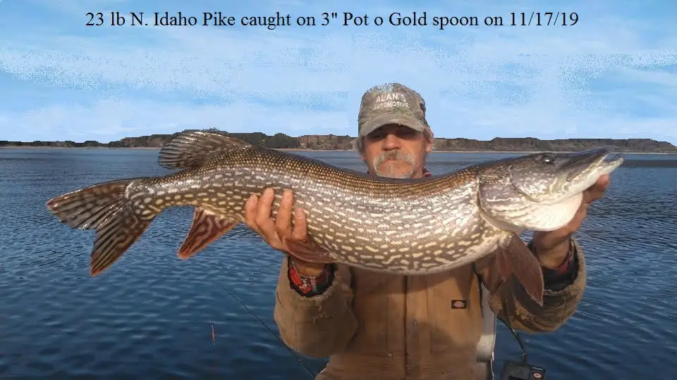Ice Fishing for Pike: How to Target Northern Pike Through the Ice