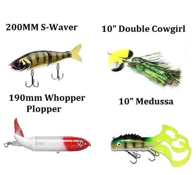 How to fish the Mach Slack Jaw 101-Mach Baits 