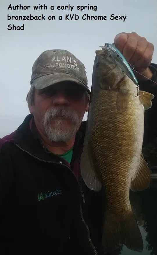 Jerkbaits Tactics for early Spring Smallies - NWFR