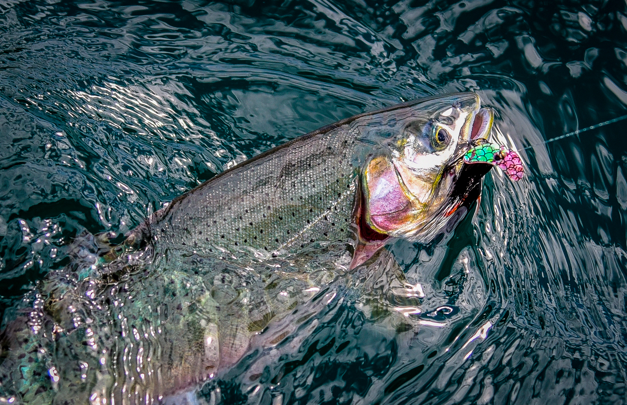 Best Polarized Fishing Glasses for the PNW– Spawn Fly Fish