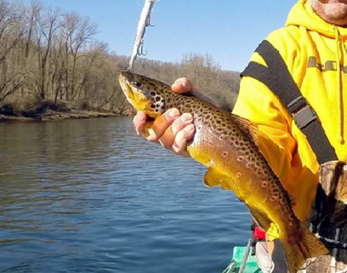 Jerkbaits for Winter Brown Trout - NWFR