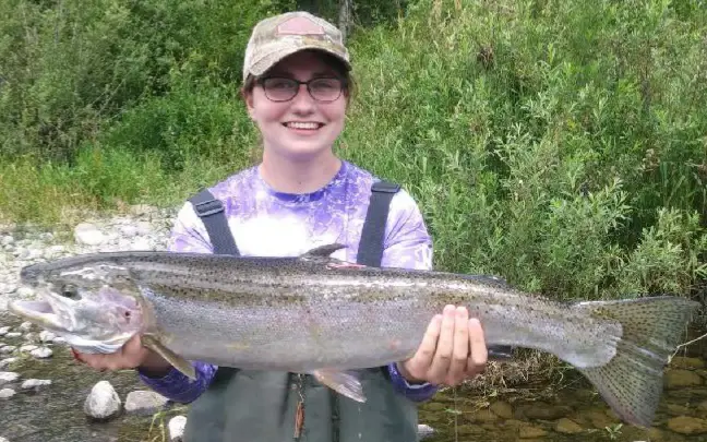 Trout Fishing For Beginners