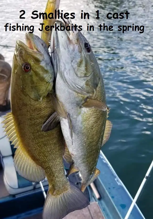 Key Tactics for Early Spring Bass - NWFR