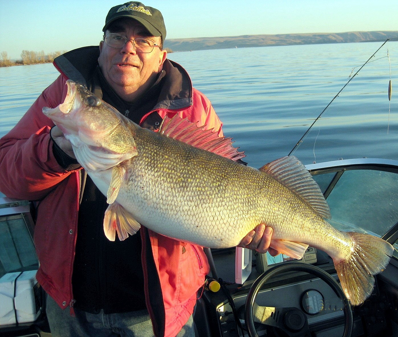 Near Record Walleye Caught on the Columbia - NWFR