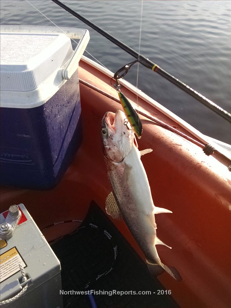 Cassidy Lake Report, Snohomish County, WA NWFR
