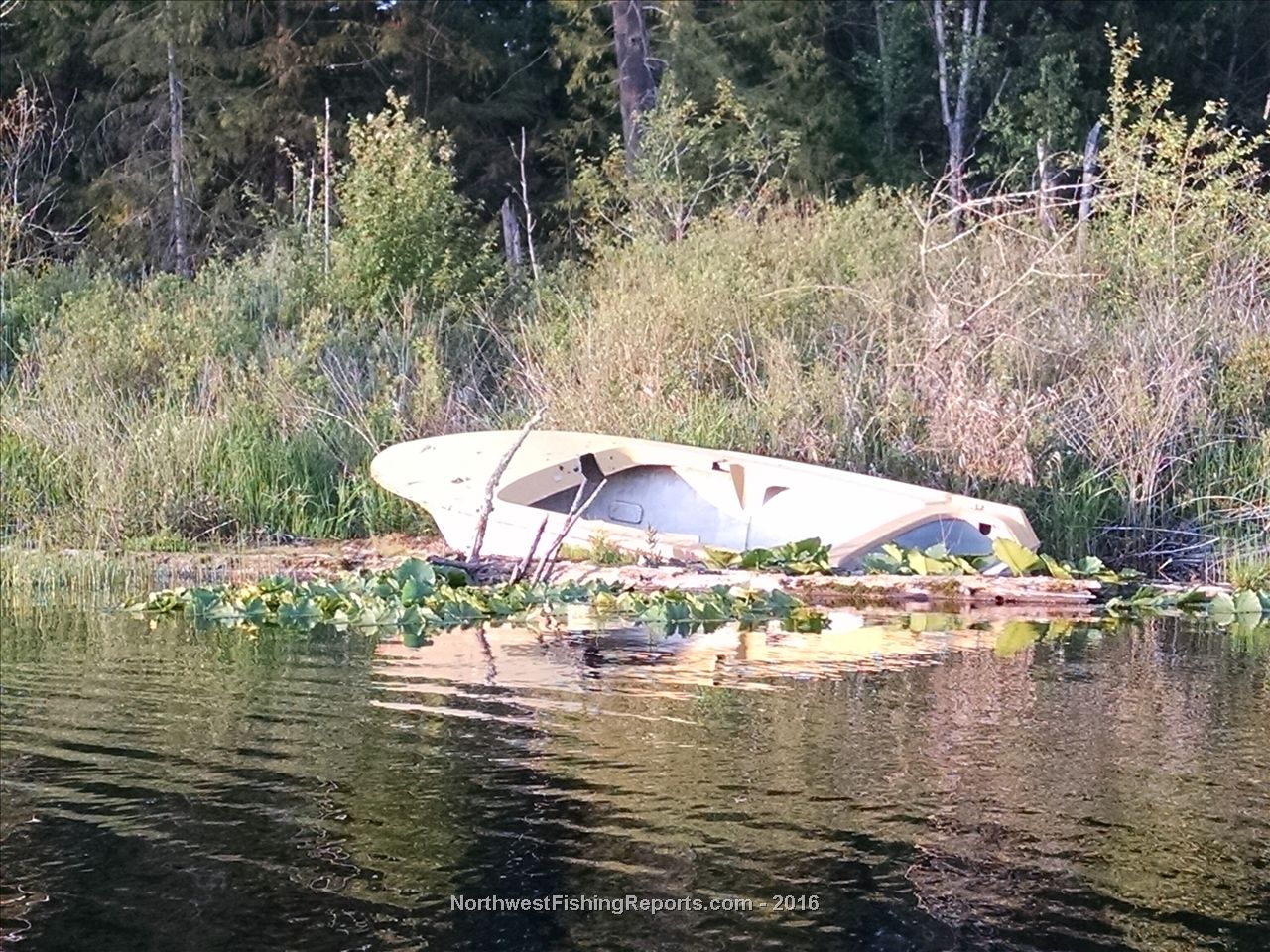 Cassidy Lake Report, Snohomish County, WA NWFR