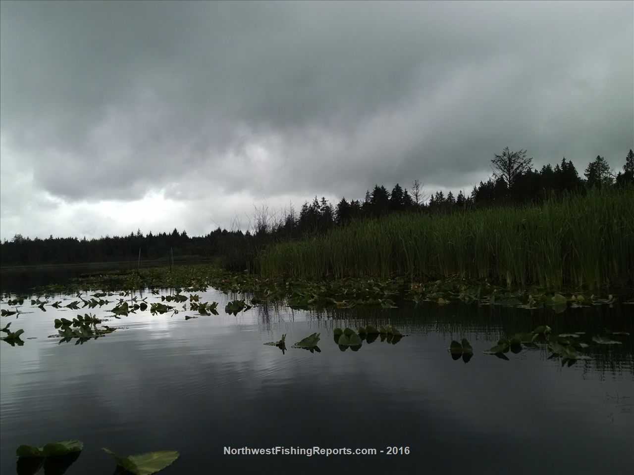 Cassidy Lake Report, Snohomish County, WA NWFR