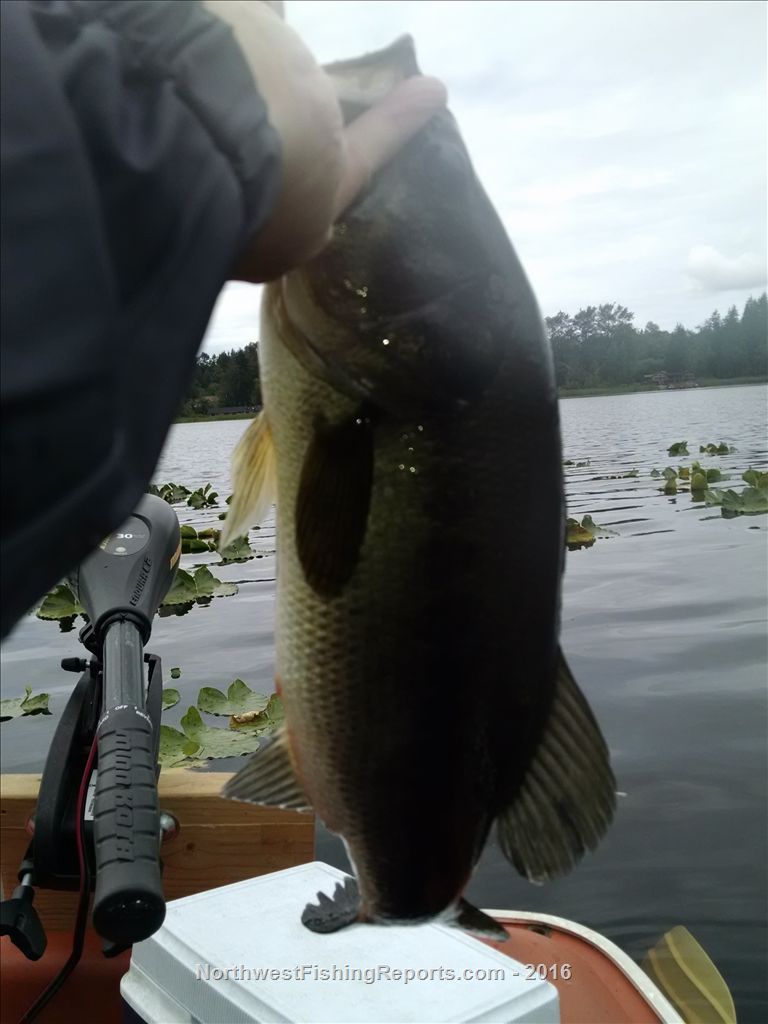 Cassidy Lake Report, Snohomish County, WA NWFR