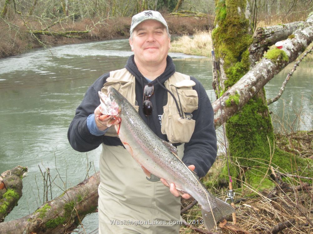 Skookumchuck River Report, Lewis County, WA NWFR