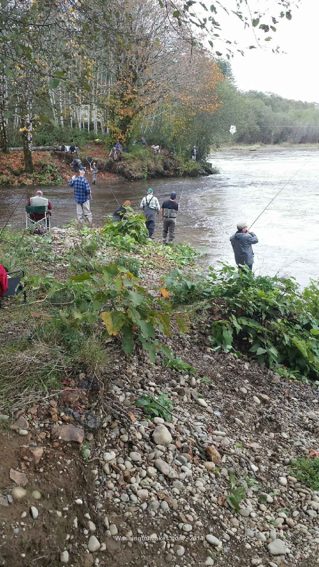 Humptulips River Report, Grays Harbor County, WA NWFR
