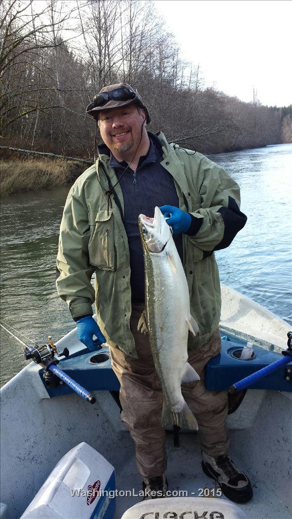 Wynoochee River Report, Grays Harbor County, WA NWFR