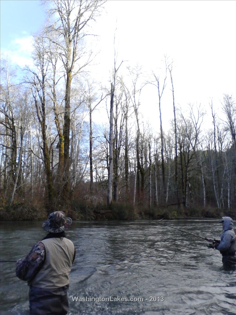 Skokomish River Report, Mason County, WA NWFR
