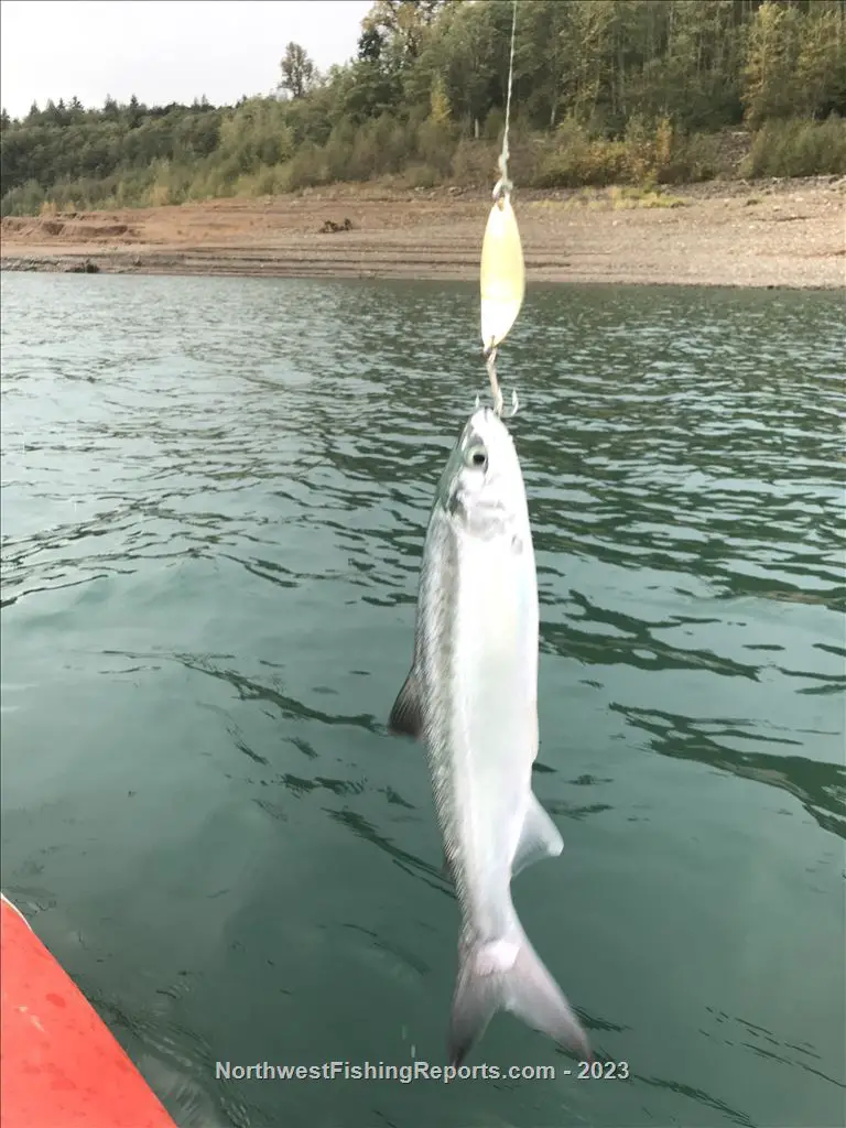 Riffe Lake Report, Lewis County, WA NWFR
