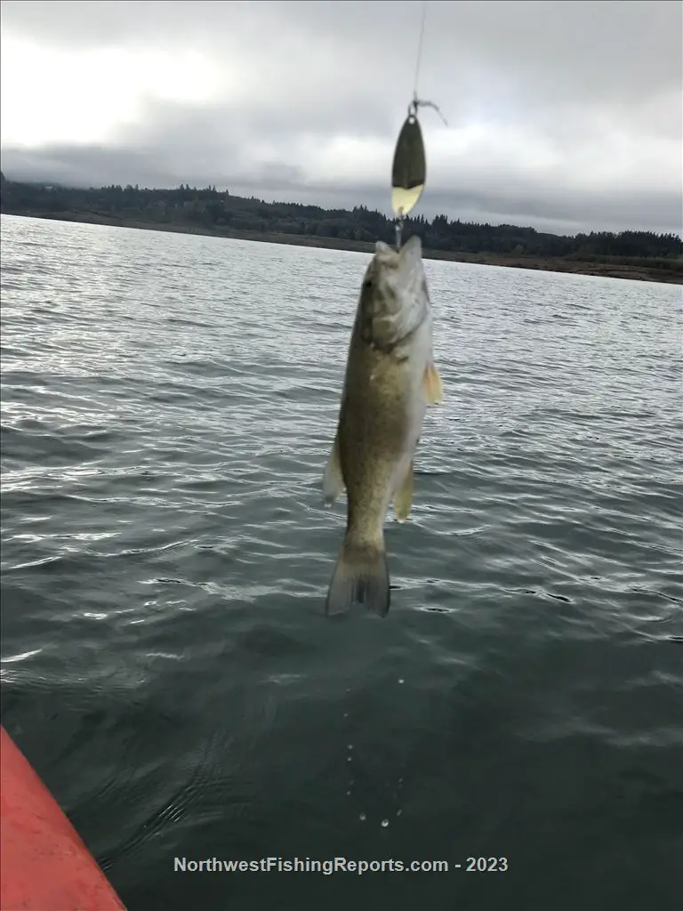 Riffe Lake Report, Lewis County, WA NWFR