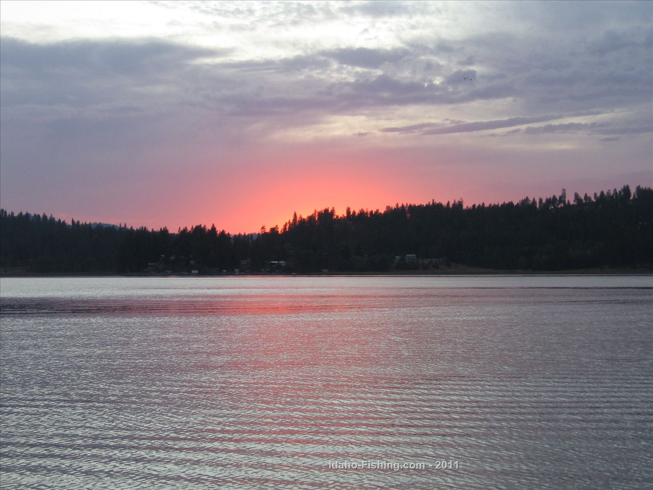 Hauser Lake Report, Kootenai County, ID NWFR