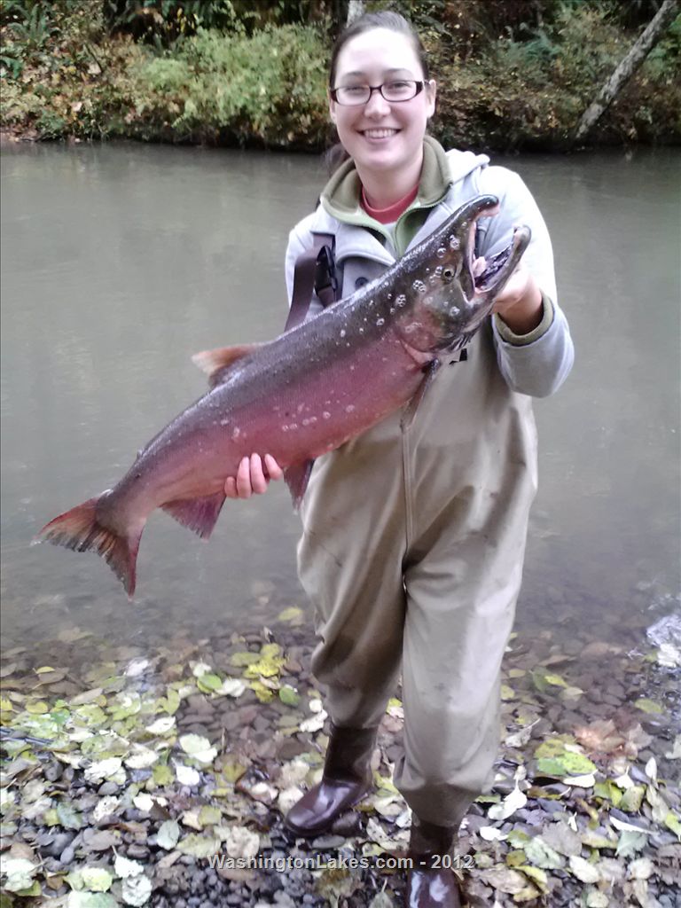 Skookumchuck River Report, Lewis County, WA NWFR