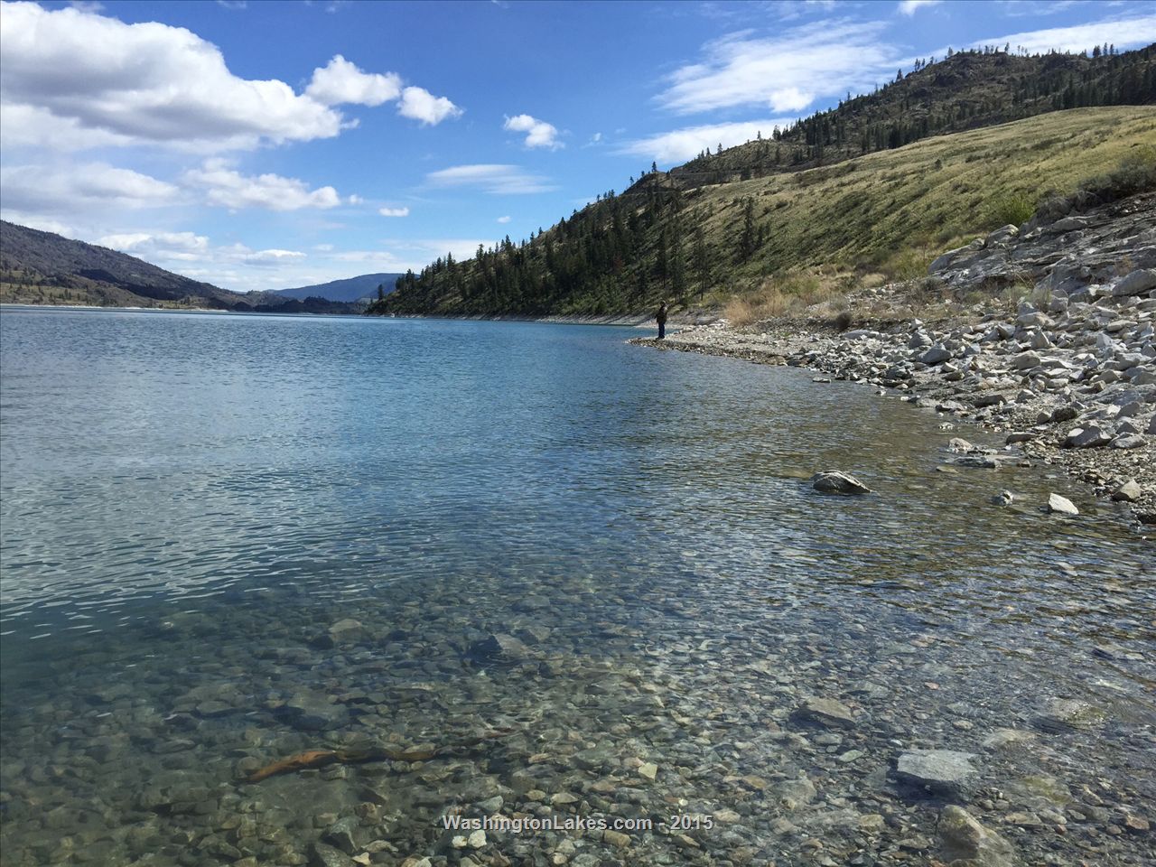 Omak Lake Report, Okanogan County, WA NWFR