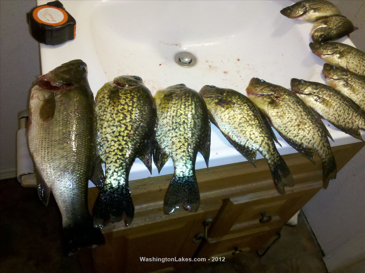 Cassidy Lake Report, Snohomish County, WA NWFR