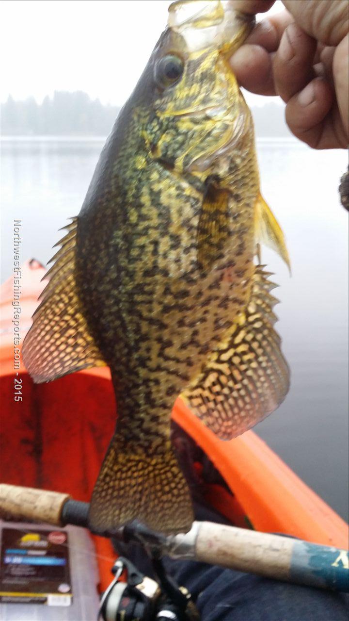 Cassidy Lake Report, Snohomish County, WA NWFR