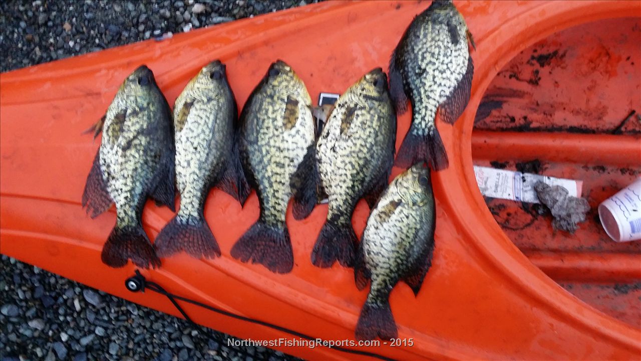 Cassidy Lake Report, Snohomish County, WA NWFR