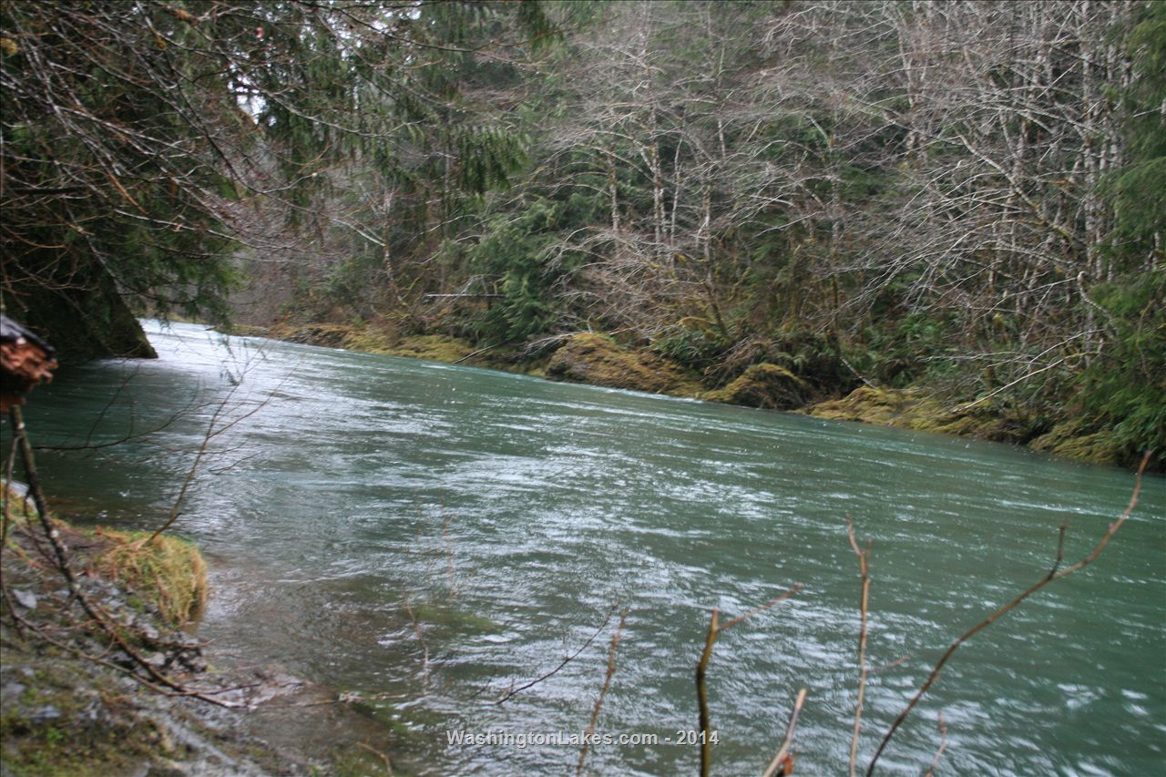 Wynoochee River Report, Grays Harbor County, WA NWFR
