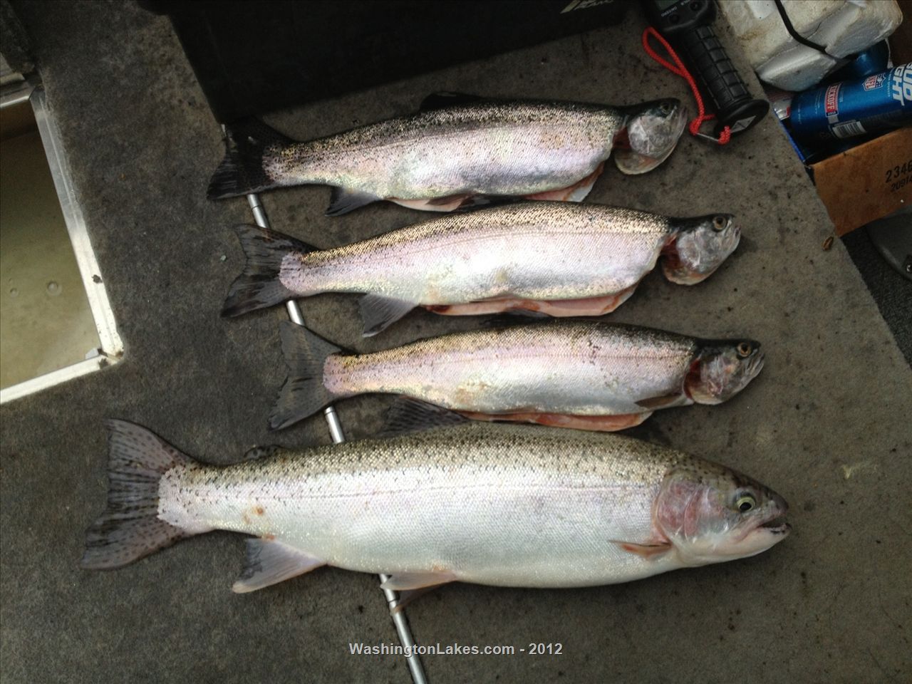 18 Lake Roosevelt South End to Spokane Confluence Report, Washington NWFR