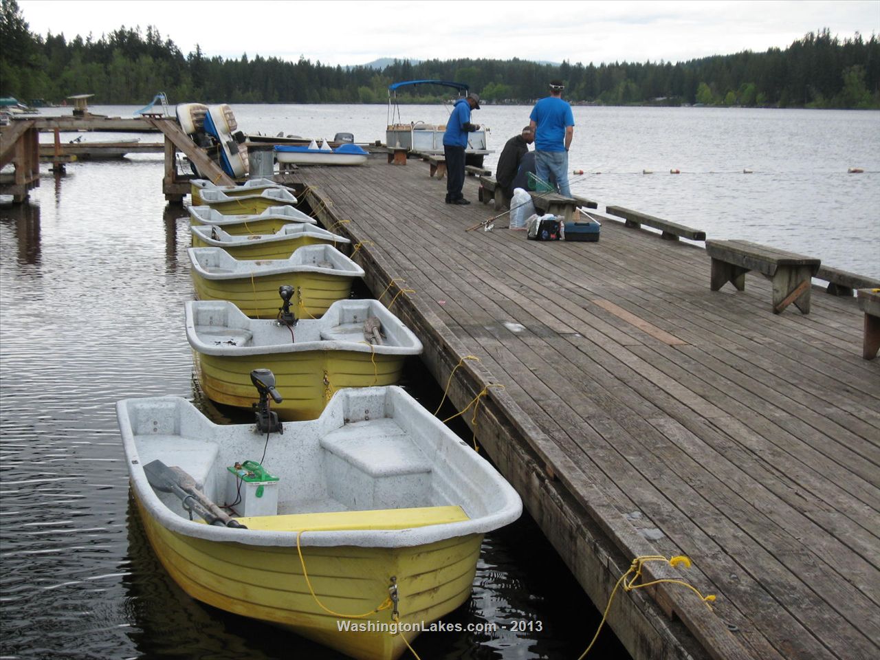 Tanwax Lake Report, Pierce County, WA NWFR