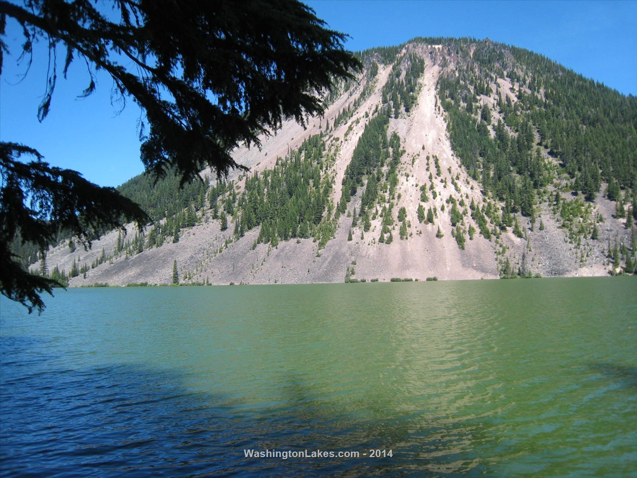 Dog Lake Report, Yakima County, WA NWFR