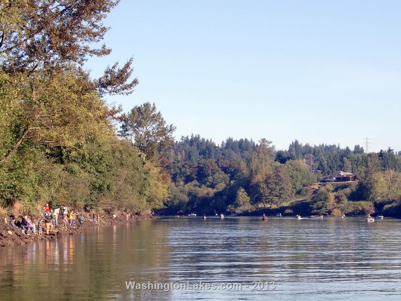 Snohomish River Report, Snohomish County, WA NWFR