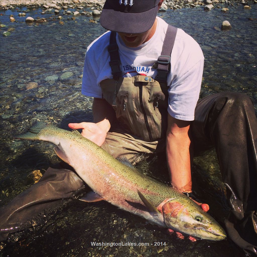 Skykomish River Report, Snohomish County, WA NWFR