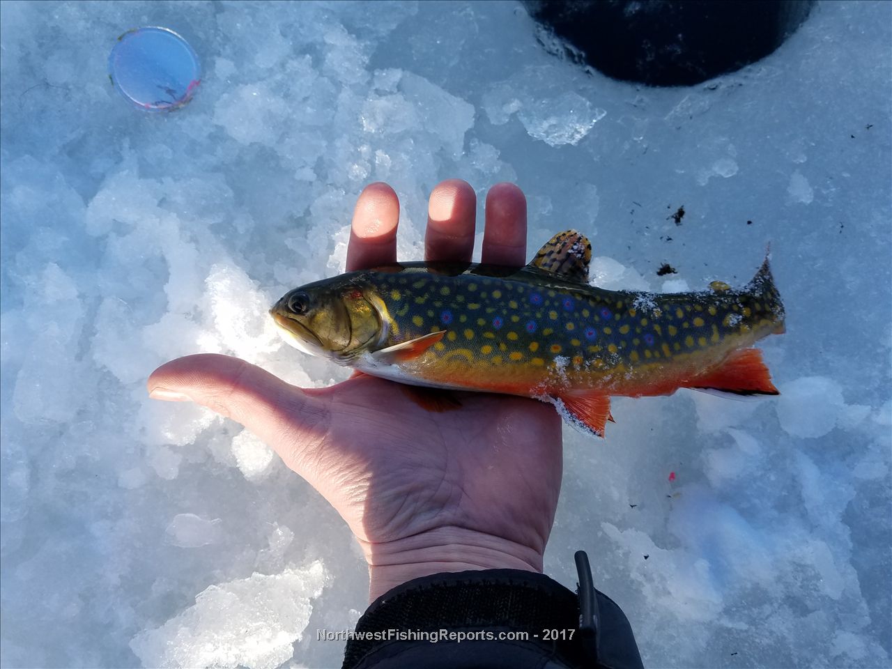 Clear Lake Report, Yakima County, WA NWFR