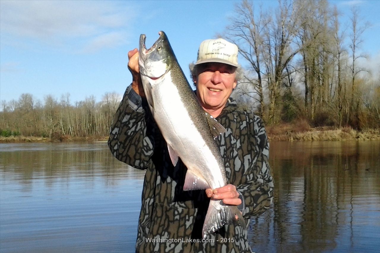 Chehalis River Report, Grays Harbor County, WA NWFR