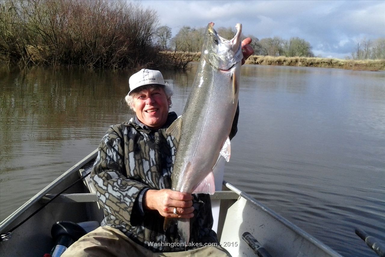 Chehalis River Report, Grays Harbor County, WA NWFR
