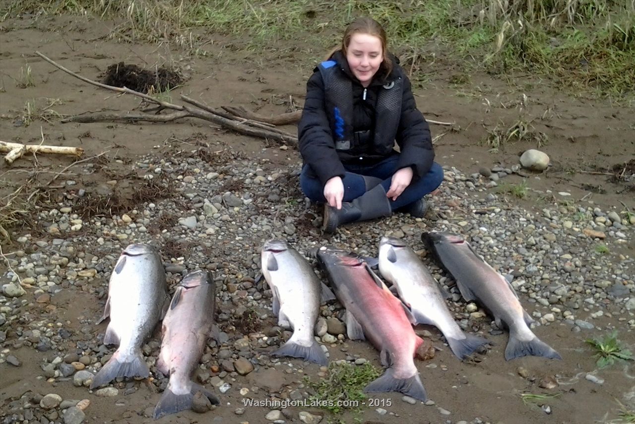 Chehalis River Report, Grays Harbor County, WA NWFR