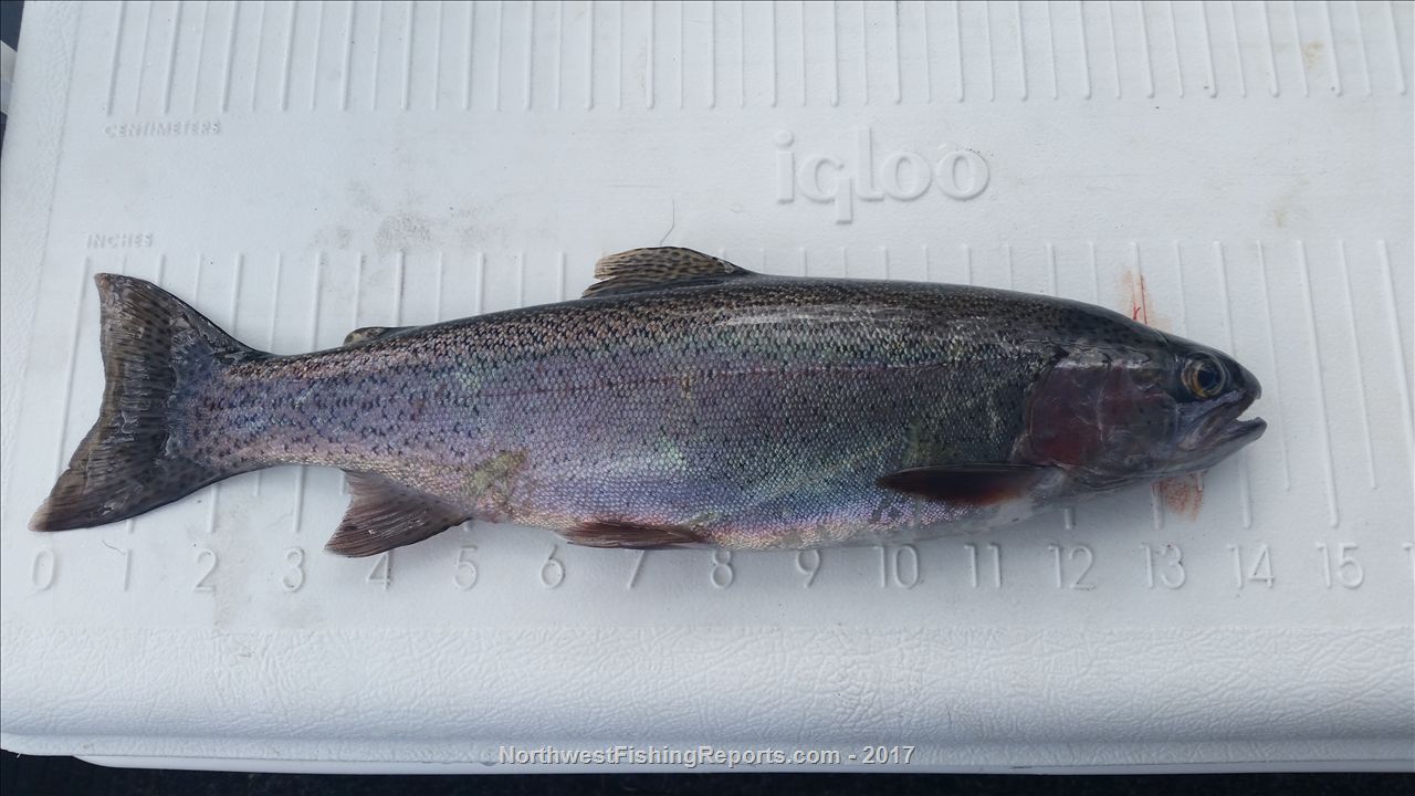 Pattison Lake Report, Thurston County, WA NWFR