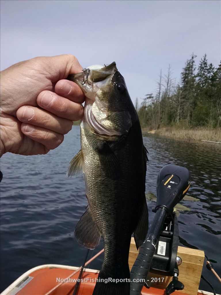 Cassidy Lake Report, Snohomish County, WA NWFR