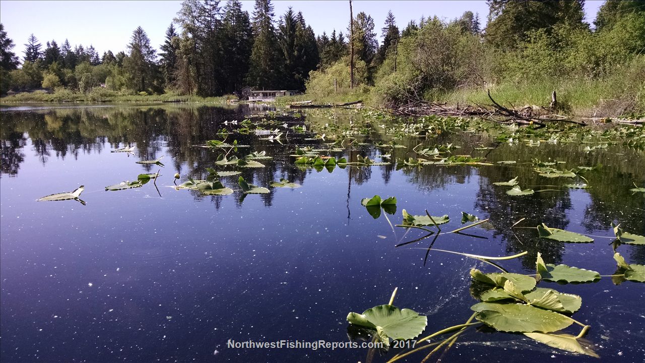 Cassidy Lake Report, Snohomish County, WA NWFR