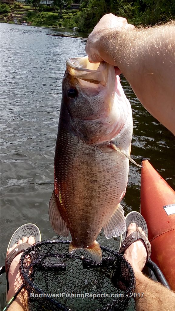 Pattison Lake Report, Thurston County, WA NWFR