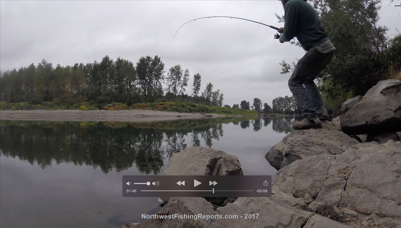 Snohomish River Report, Snohomish County, WA NWFR