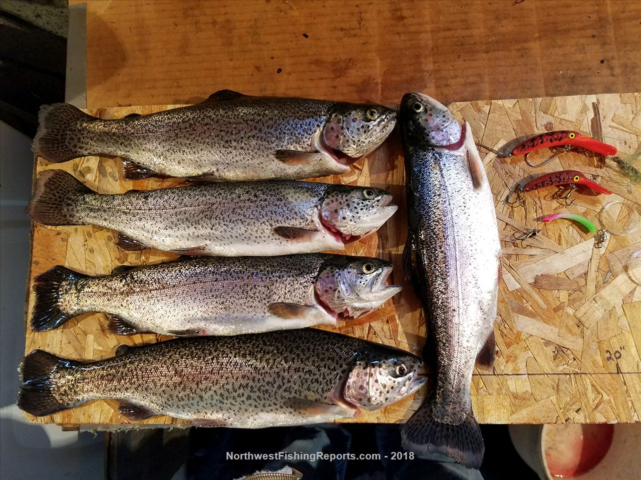 Kitsap Lake Report, Kitsap County, WA NWFR