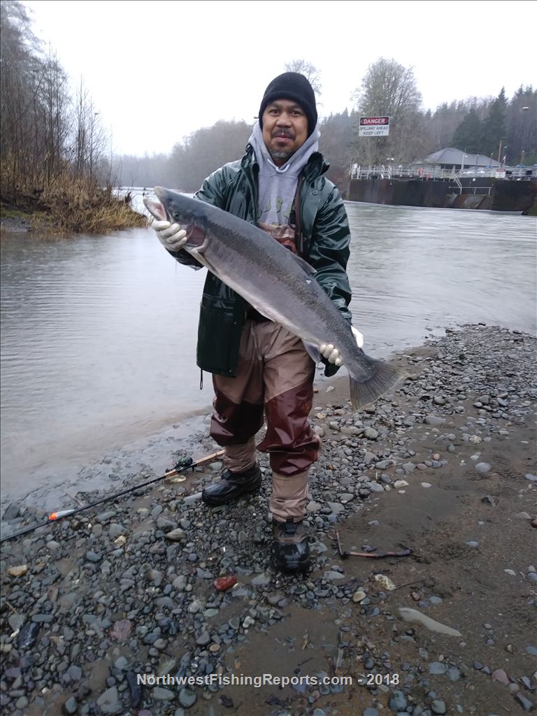 Wynoochee River Report, Grays Harbor County, WA NWFR