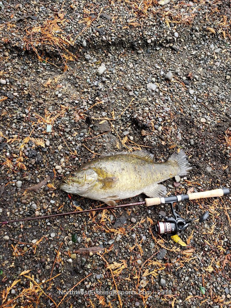 Steilacoom Lake Report, Pierce County, WA NWFR
