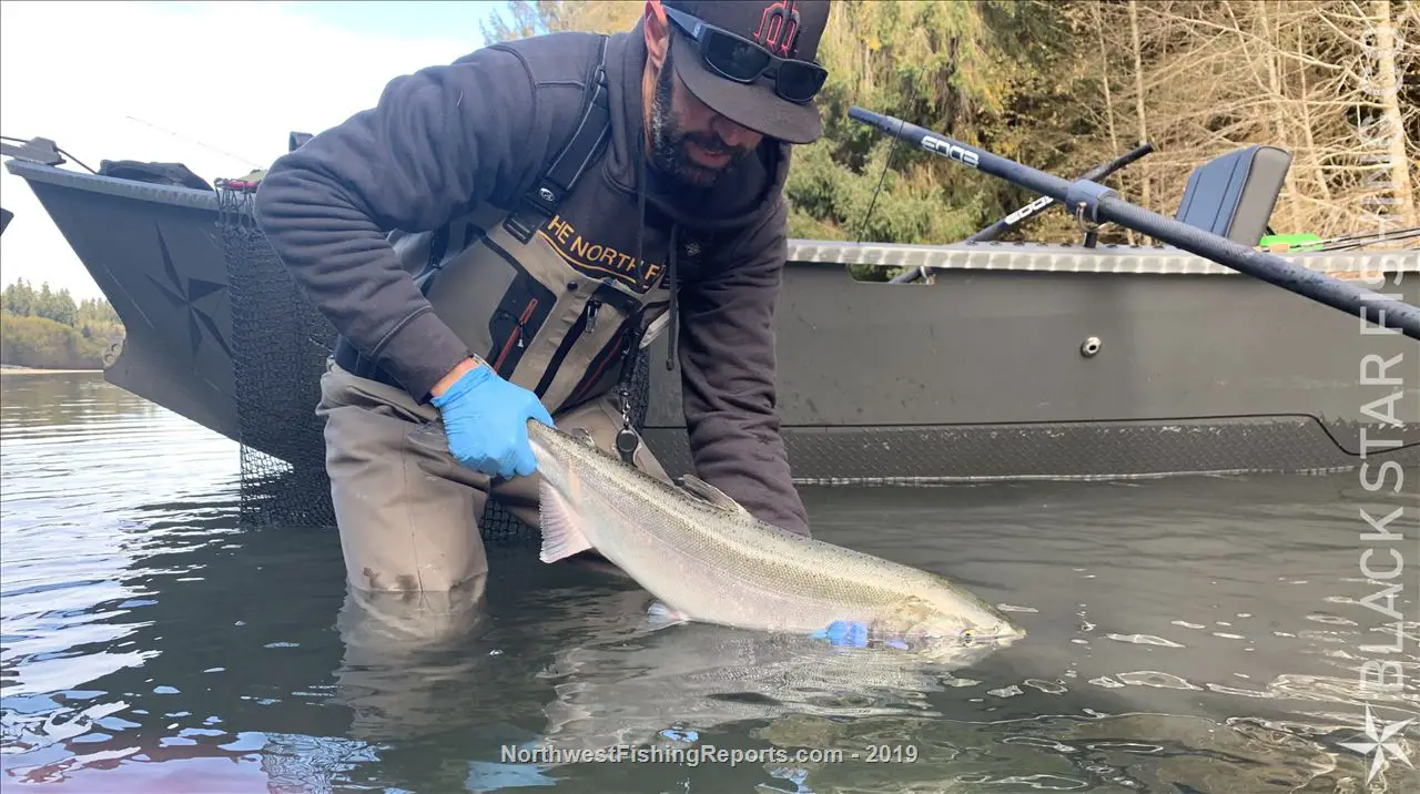 Humptulips River Report, Grays Harbor County, WA NWFR
