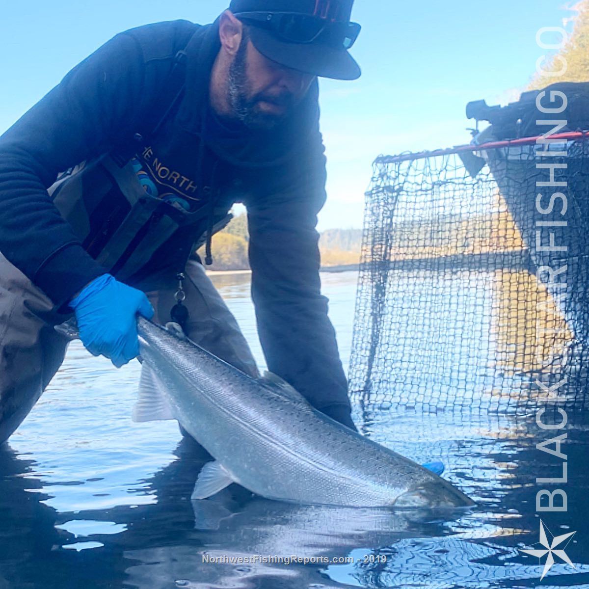 Humptulips River Report, Grays Harbor County, WA NWFR