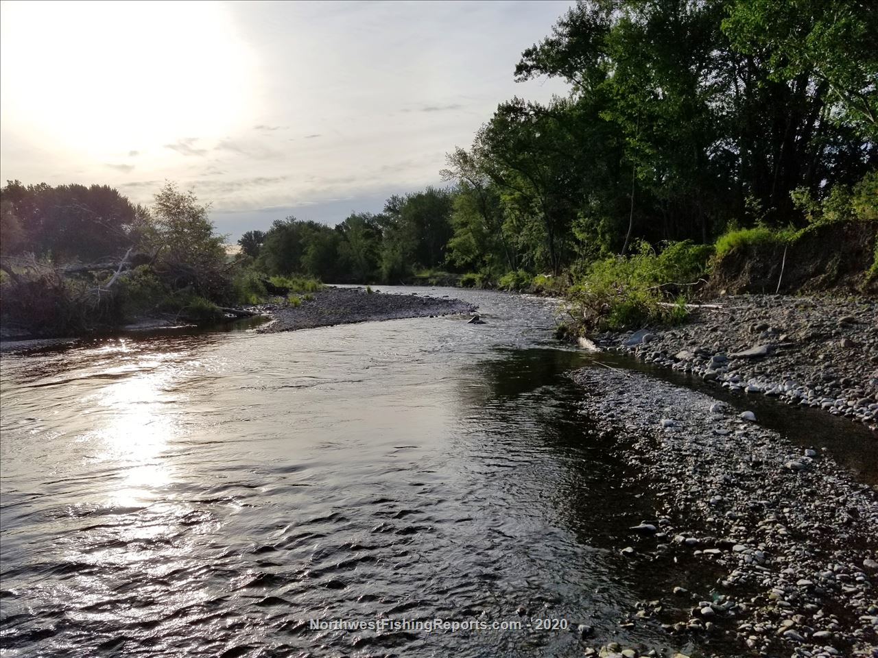 Touchet River Report, Walla Walla County, WA NWFR