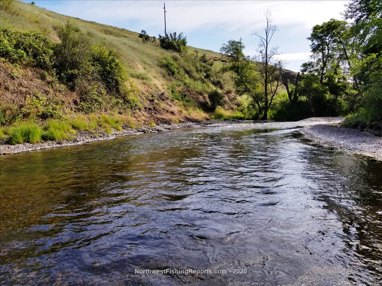 Touchet River Report, Walla Walla County, WA NWFR
