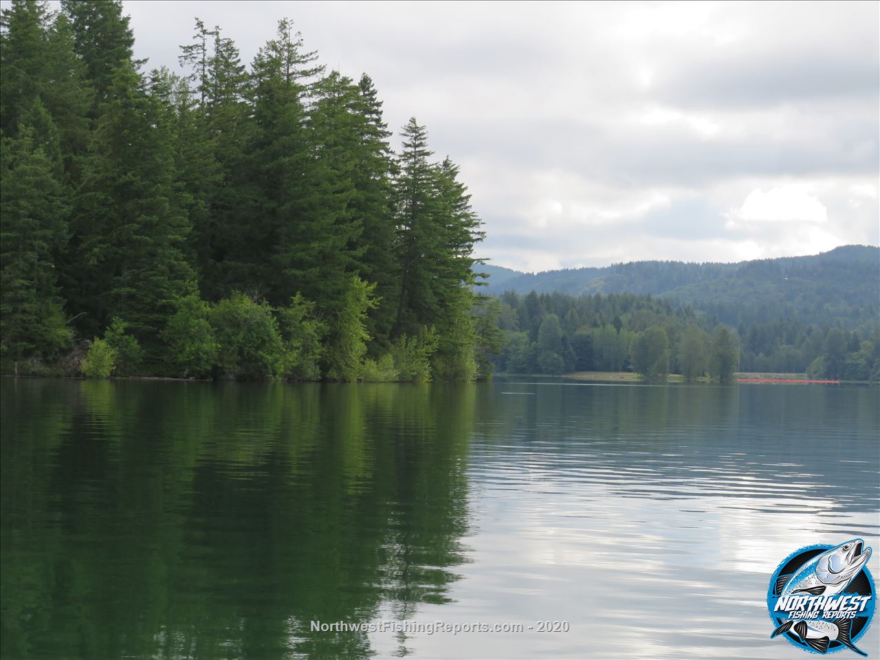 Alder Lake Report, Pierce County, WA NWFR
