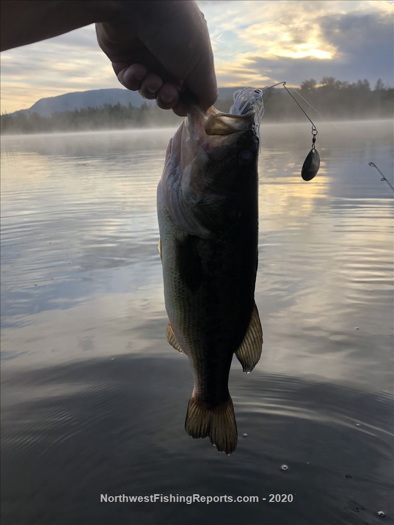 Fazon Lake Report, Whatcom County, WA - NWFR